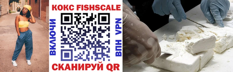 Cocaine Fish Scale  купить   MEGA ССЫЛКА  Вязьма 