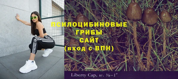 прущие крисы Богородицк