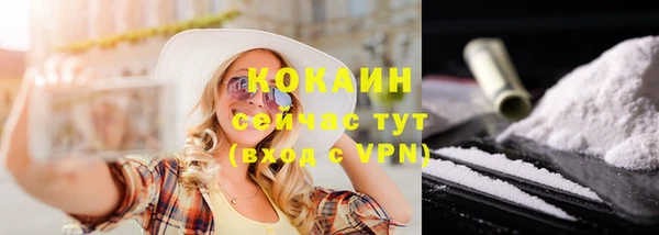 apvp Богданович