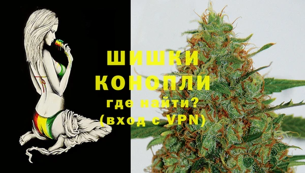 apvp Богданович