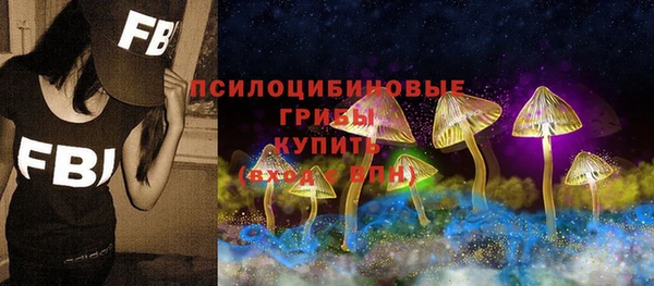 PSILOCYBIN Богородск
