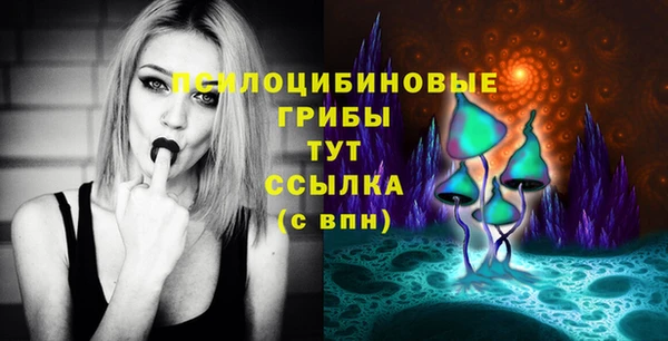 PSILOCYBIN Богородск