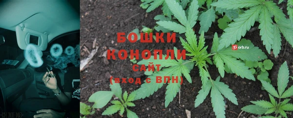 apvp Богданович