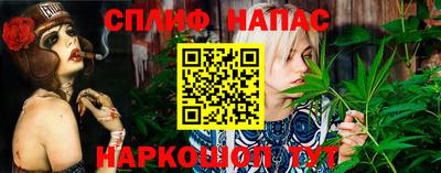 Альфа ПВП Беслан