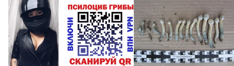 Галлюциногенные грибы прущие грибы  сайты даркнета какой сайт  Вязьма 